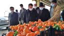 تاکید استاندار بر حمایت از میدان میوه و تره‌بار/ کاهش ۲۰ درصدی قیمت‌ میوه در مرکز کهگیلویه و بویراحمد
