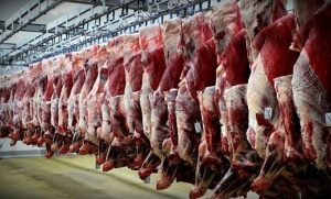 قیمت گوشت قرمز در کهگیلویه و بویر احمد اعلام شد